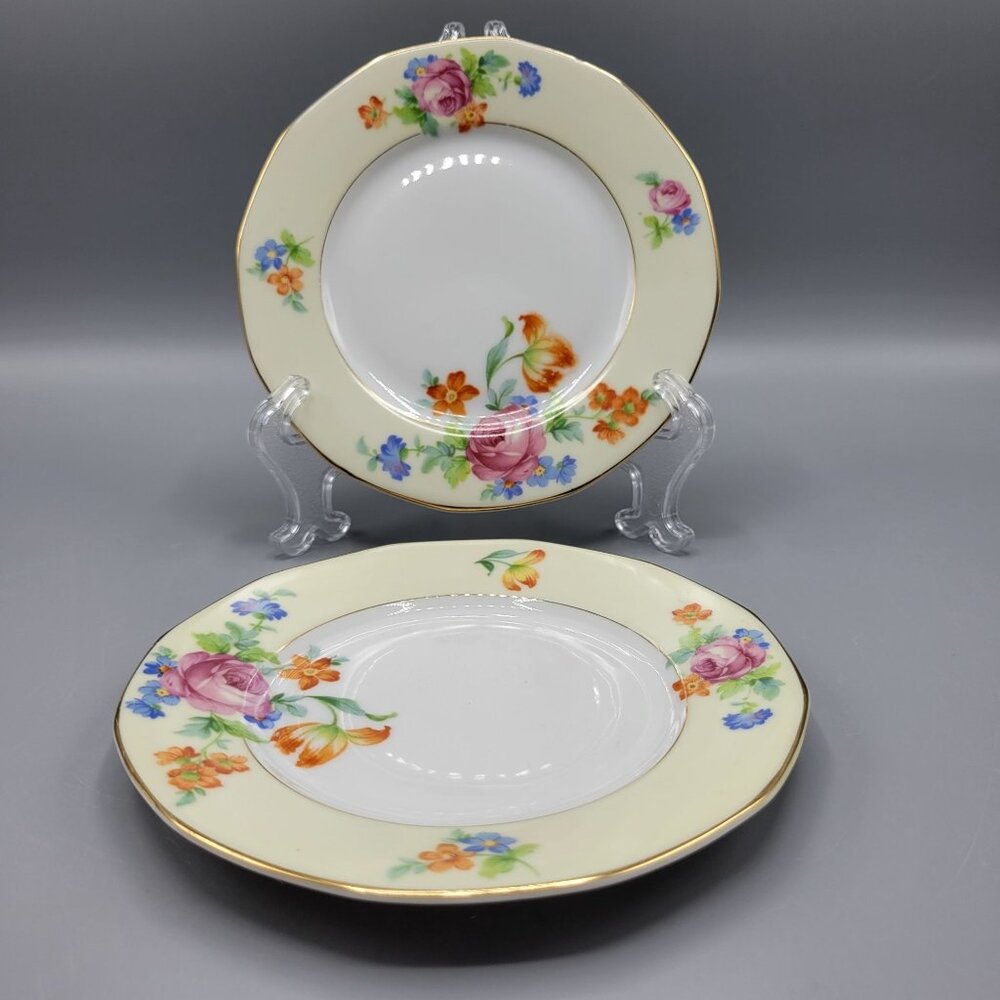 Vtg TK Thuny Czechoslovakia Lexington Floral 2 Bread Butter Plates Gold Trim 6"